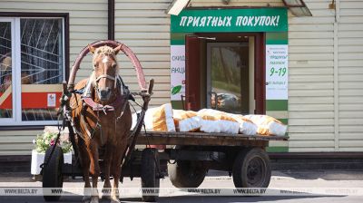 Спажыўкааперацыя Беларусі актыўна прымае сельгаспрадукцыю