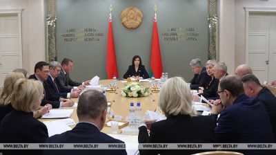 Законапраект па пытаннях крымінальнай адказнасці абмеркавалі на экспертным савеце ў Мінску