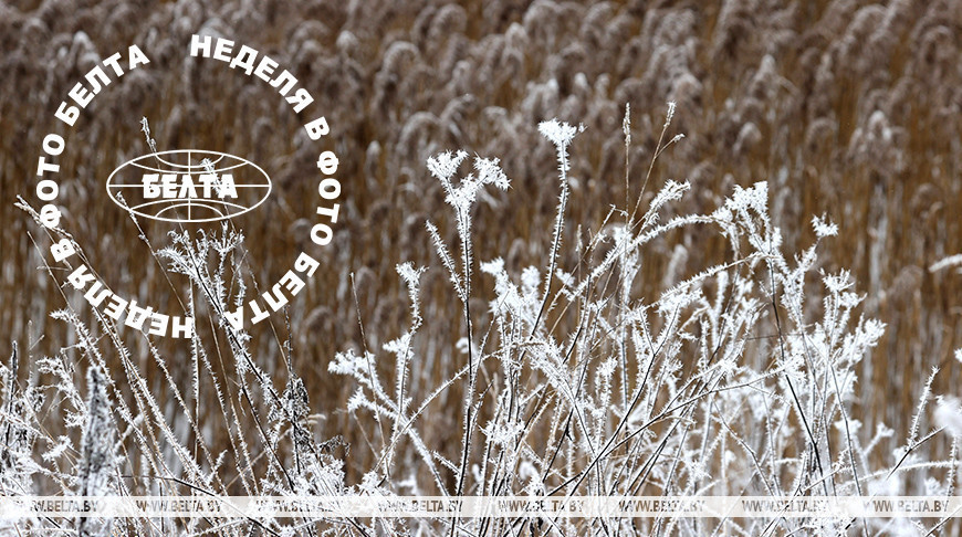 ЛЕПШЫЯ ФОТА ТЫДНЯ ПА ВЕРСІІ БЕЛТА