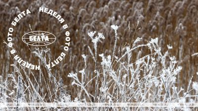 ЛЕПШЫЯ ФОТА ТЫДНЯ ПА ВЕРСІІ БЕЛТА