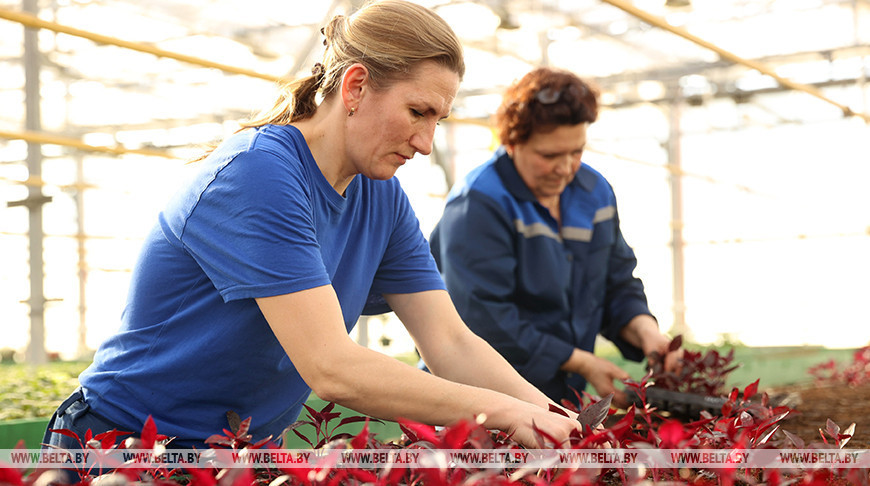 Год добраўпарадкавання: рамонт двароў і вуліц, абнаўленне месцаў адпачынку праводзіцца ў Брэсце