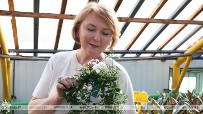 Цюльпаны, ружы, мімозы. Тысячы кветак будуць радаваць дам 8 Сакавіка ў Магілёве