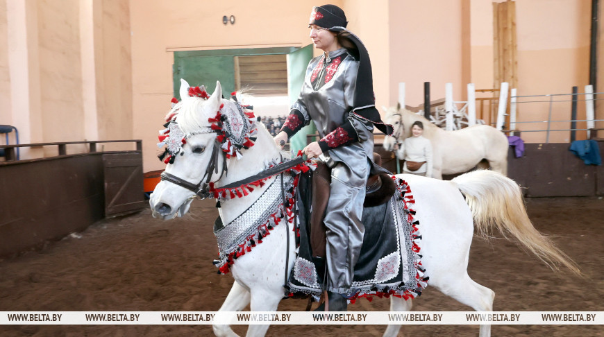 У Гомелі прайшла выстаўка пародзістых коней 