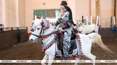 У Гомелі прайшла выстаўка пародзістых коней 