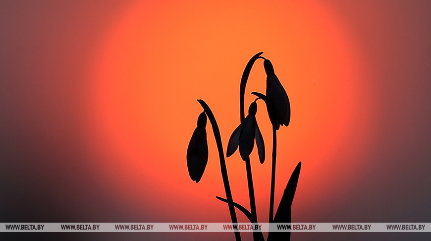 Вясенні захад сонца афарбаваў неба ў яркія тоны 