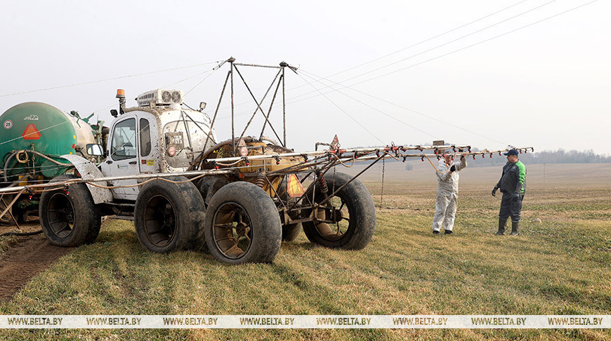 Старт пасяўной: на палях Лагойскага раёна тон задае ранняя вясна