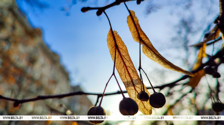 "Янтарная" раніца ў Мінску
