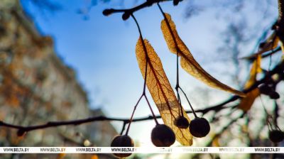 "Янтарная" раніца ў Мінску