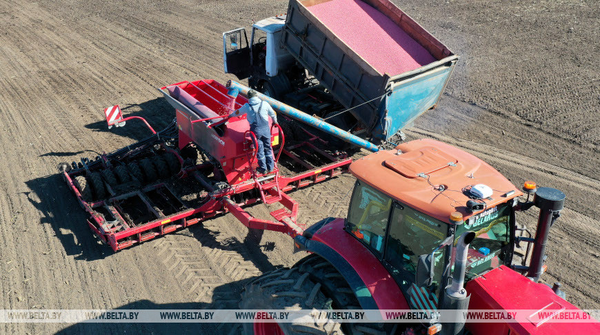 У Мастоўскім раёне вядуць сяўбу гароху