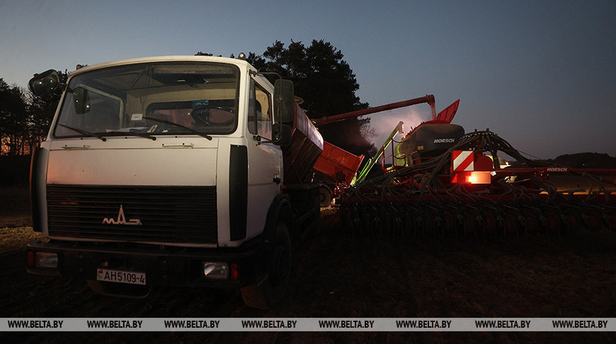 Да позняй ночы ідзе пасяўная ў Гродзенскім раёне