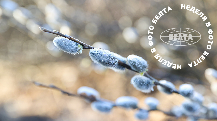 ЛЕПШЫЯ ФОТА ТЫДНЯ ПА ВЕРСІІ БЕЛТА  