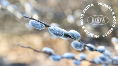 ЛЕПШЫЯ ФОТА ТЫДНЯ ПА ВЕРСІІ БЕЛТА  