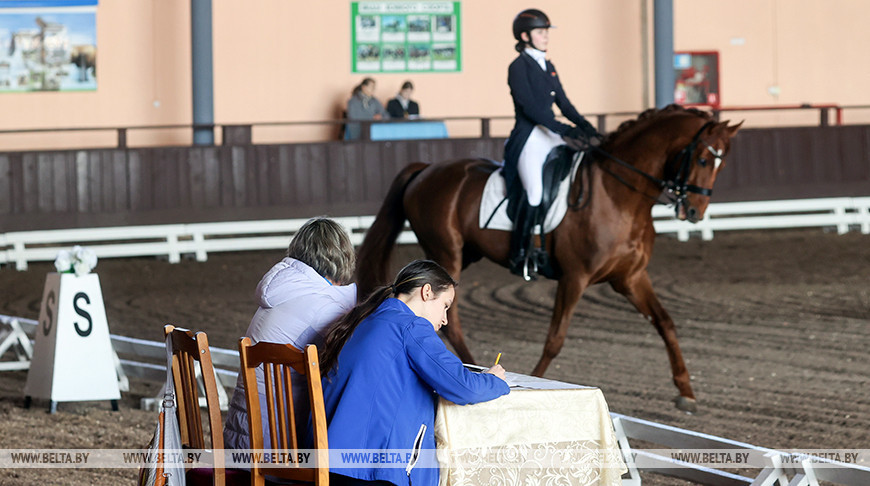 У Гомелі праходзяць Алімпійскія дні моладзі Беларусі па конным спорце