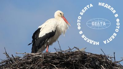 ЛЕПШЫЯ ФОТА ТЫДНЯ ПА ВЕРСІІ БЕЛТА