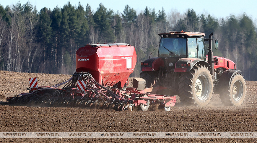 Сяўба яравых культур ідзе ў Бешанковіцкім раёне