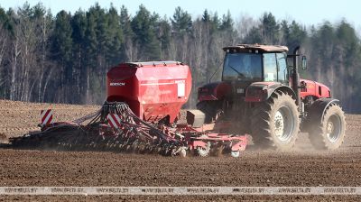 Сяўба яравых культур ідзе ў Бешанковіцкім раёне