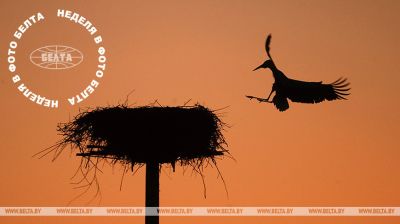 ЛЕПШЫЯ ФОТА ТЫДНЯ ПА ВЕРСІІ БЕЛТА  