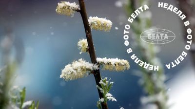 ЛЕПШЫЯ ФОТА ТЫДНЯ ПА ВЕРСІІ БЕЛТА