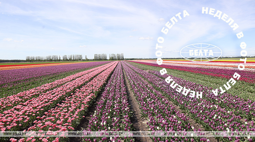 ЛЕПШЫЯ ФОТА ТЫДНЯ ПА ВЕРСІІ БЕЛТА