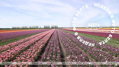 ЛЕПШЫЯ ФОТА ТЫДНЯ ПА ВЕРСІІ БЕЛТА