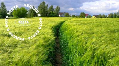 ЛЕПШЫЯ ФОТА ТЫДНЯ ПА ВЕРСІІ БЕЛТА