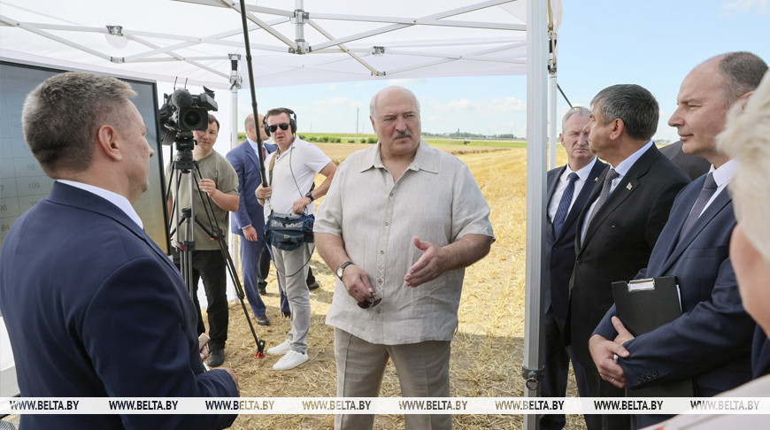 Лукашэнка ў палях інспектуе ход уборачнай кампаніі