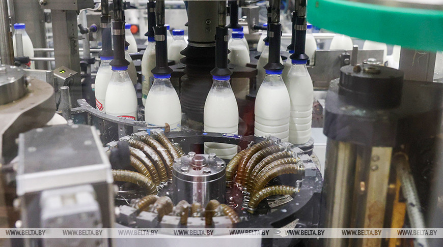 Пастаянная мадэрнізацыя. Як працуе сучасны завод дзіцячага харчавання ў Нясвіжы