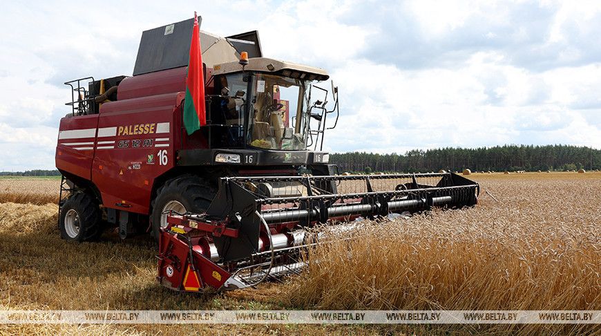 Аграрыі Мінскай вобласці намалацілі 2 мільёны тон збожжа з улікам рапсу