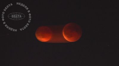 ЛЕПШЫЯ ФОТА ТЫДНЯ ПА ВЕРСІІ БЕЛТА 