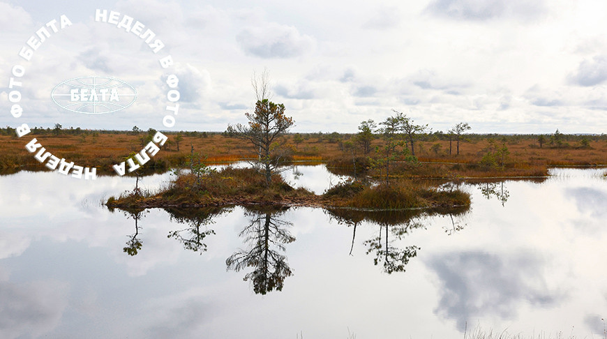 ЛЕПШЫЯ ФОТА ТЫДНЯ ПА ВЕРСІІ БЕЛТА