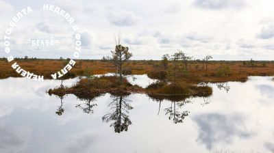 ЛЕПШЫЯ ФОТА ТЫДНЯ ПА ВЕРСІІ БЕЛТА