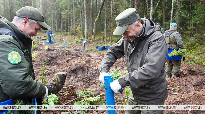 Вальфовіч: прымнажаючы прыроднае багацце, мы ўмацоўваем экалагічную бяспеку краіны   