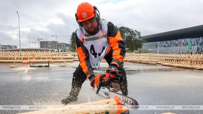 На выстаўцы "Лесдрэўтэх" адбыліся спаборніцтвы лесарубаў