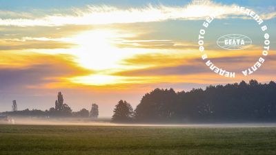 ЛЕПШЫЯ ФОТА ТЫДНЯ ПА ВЕРСІІ БЕЛТА