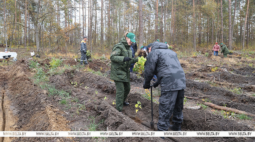 Зачын на будучыню, важны рэсурс для наступных пакаленняў. Карпенка аб акцыі "Дай лесу новае жыццё!"