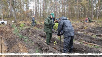 Зачын на будучыню, важны рэсурс для наступных пакаленняў. Карпенка аб акцыі "Дай лесу новае жыццё!"