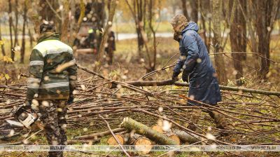 Рэспубліканскі суботнік праходзіць у Мінску 