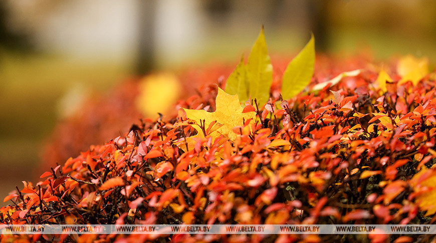 Асенні дажджлівы дзень 