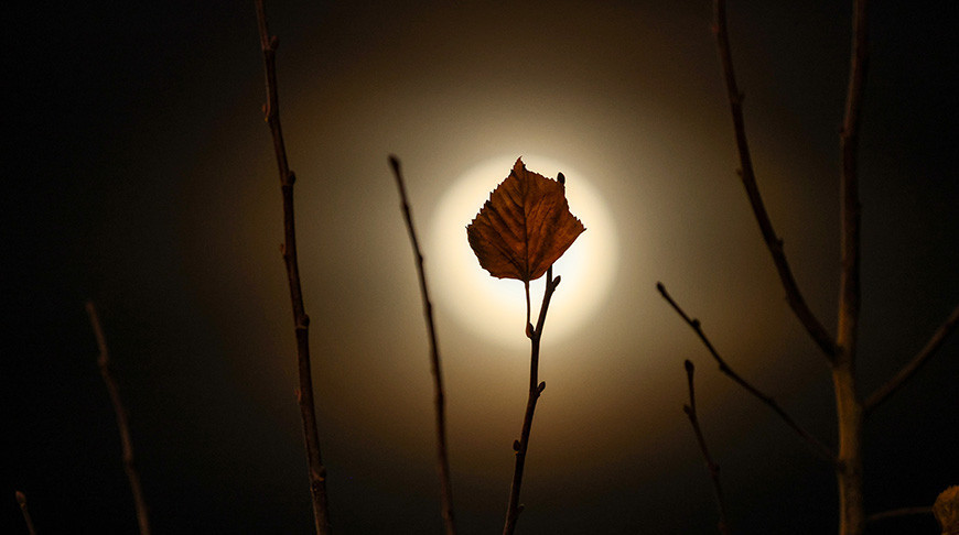 "Бабровы месяц" над Беларуссю