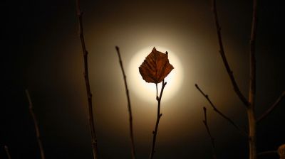 "Бабровы месяц" над Беларуссю