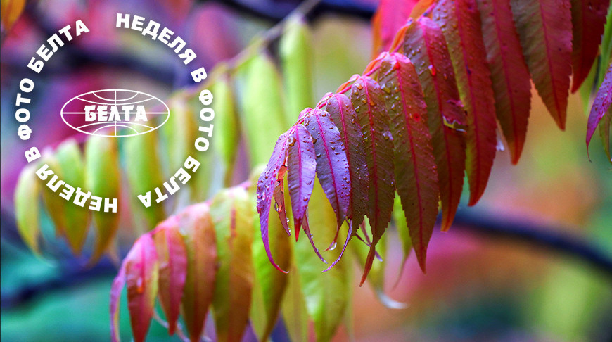 ЛЕПШЫЯ ФОТА ТЫДНЯ ПА ВЕРСІІ БЕЛТА