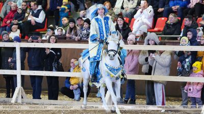 У Магілёўскім раёне прайшла міжнародная выстаўка-шоу пародзістых коней "Восень-2025"
