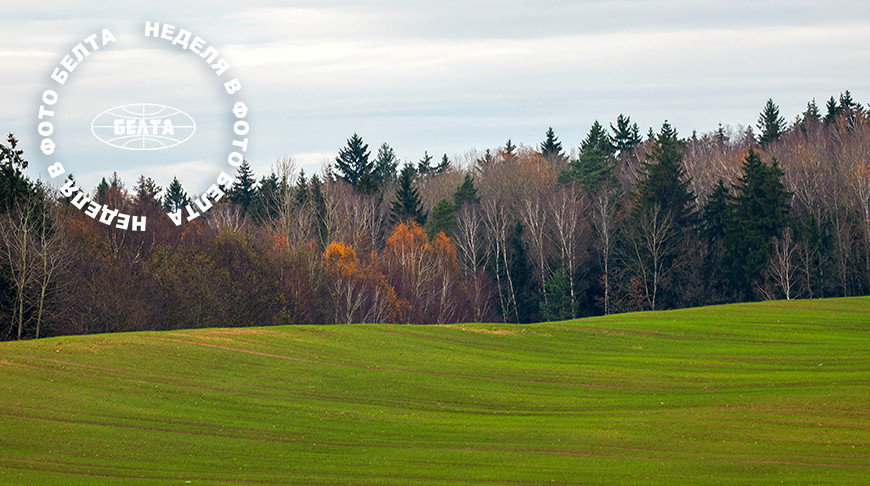 ЛЕПШЫЯ ФОТА ТЫДНЯ ПА ВЕРСІІ БЕЛТА