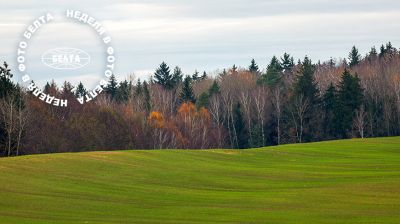 ЛЕПШЫЯ ФОТА ТЫДНЯ ПА ВЕРСІІ БЕЛТА