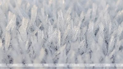 Першыя прадвеснікі зімы 