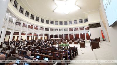 Законапраект па пытаннях індывідуальнай прадпрымальніцкай дзейнасці прыняты ў другім чытанні