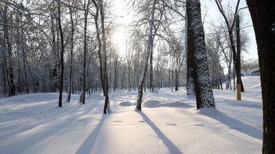Марозны зімовы дзень у Гомелі