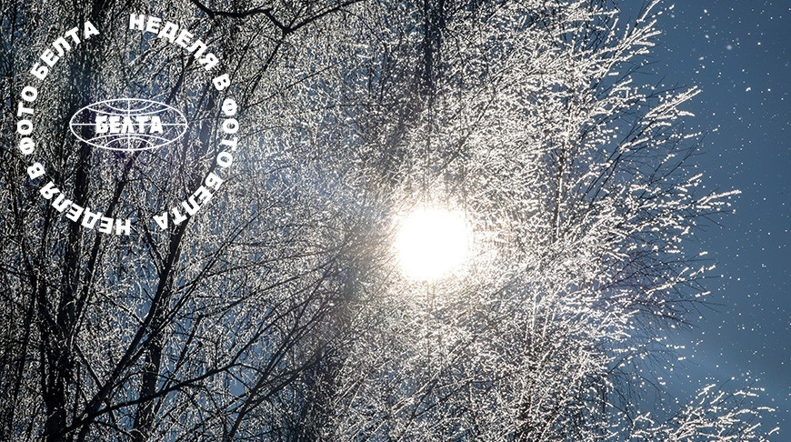 ЛЕПШЫЯ ФОТА ТЫДНЯ ПА ВЕРСІІ БЕЛТА