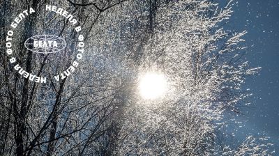 ЛЕПШЫЯ ФОТА ТЫДНЯ ПА ВЕРСІІ БЕЛТА