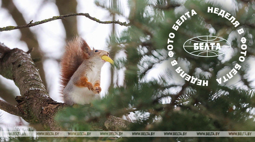 ЛЕПШЫЯ ФОТА ТЫДНЯ ПА ВЕРСІІ БЕЛТА